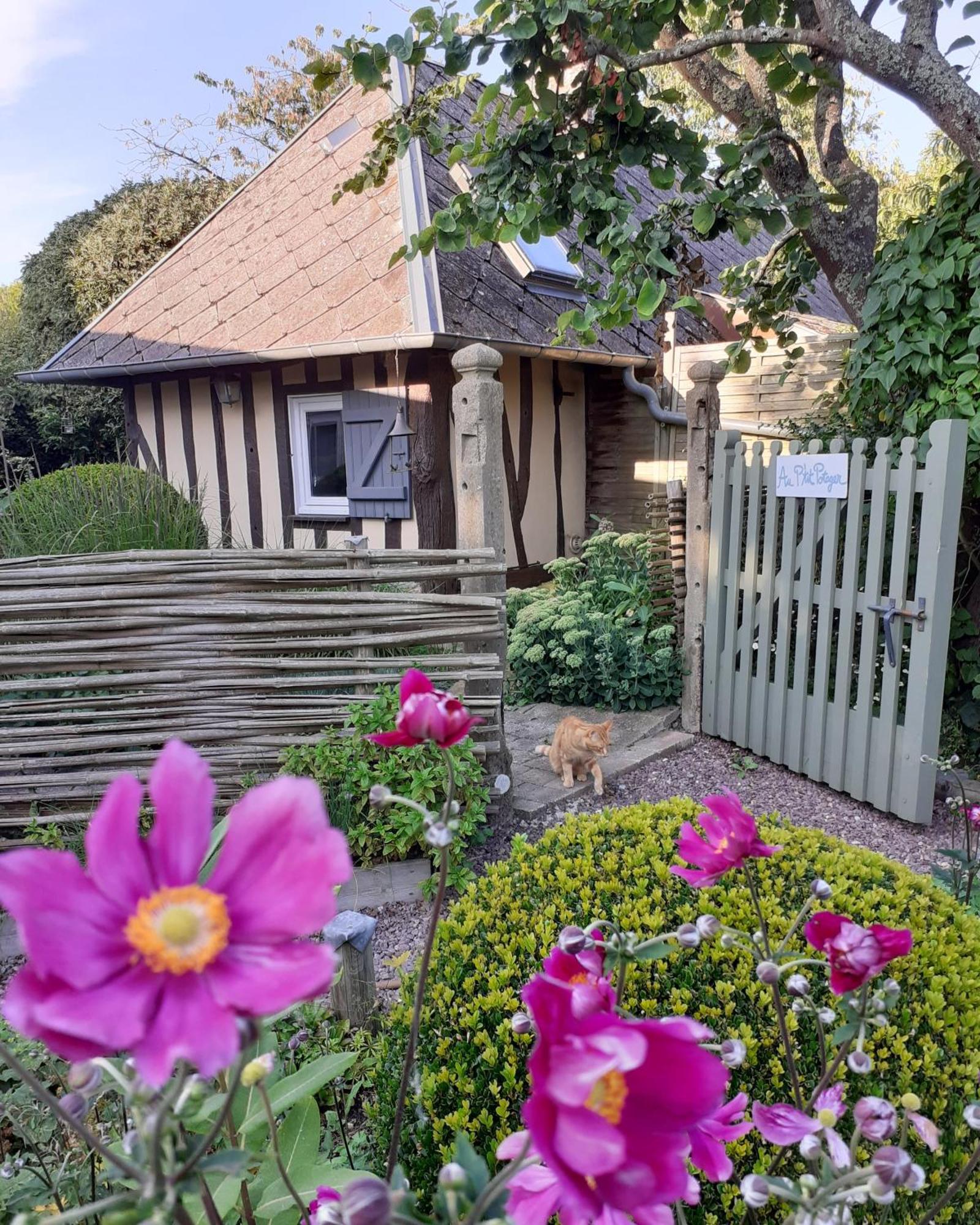 Hotel Au p'tit jardin Saint-Sylvestre-de-Cormeilles Exterior foto